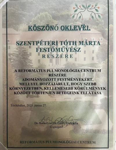 Törökbálint, Református Pulmonológiai Centrum